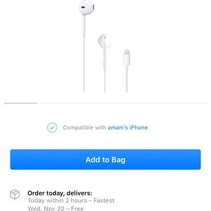 Apple Ear buds